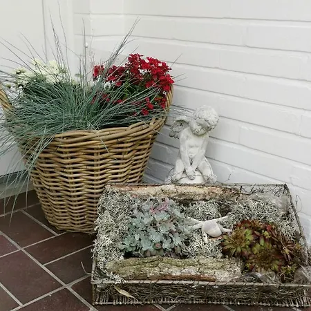 Hotel-pension Achtern Diek