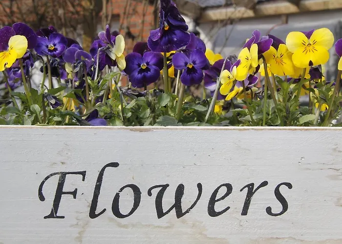 Hotel-pension Achtern Diek